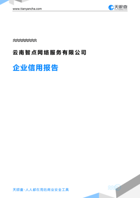 云南智点网络服务(企业信用报告)- 天眼查
